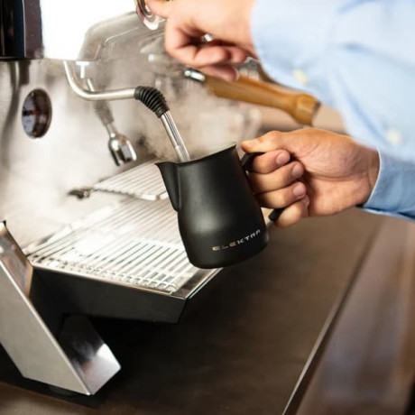 Рожковая кофемашина Elektra Evok