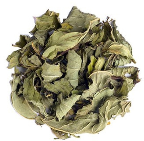  Тизан Newby Мята Перечная 